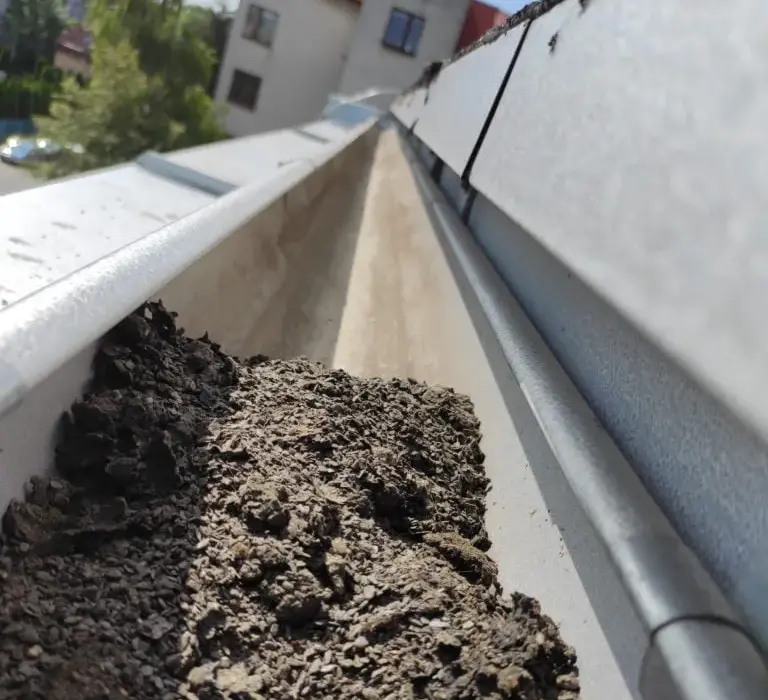 Ile kosztuje czyszczenie rynien? Ceny, które cię zaskoczą