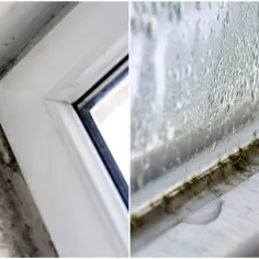Pleśń na uszczelkach okien jak usunąć? Widok czarnych, nieestetycznych plam pleśni na ramie okiennej i wilgotnych uszczelkach.