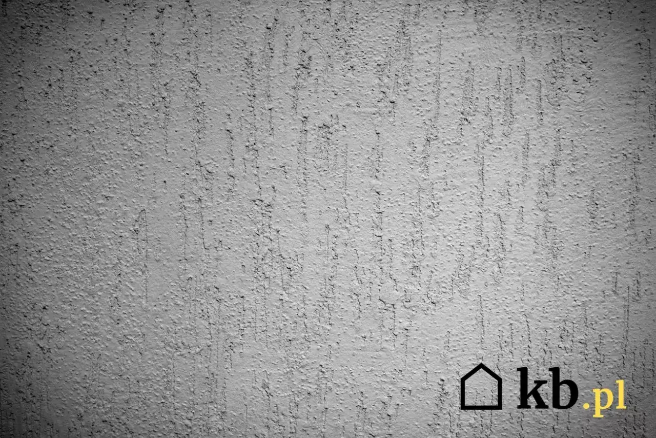 Szara ściana z fakturą tynku kornik, imitującą ślady po żerowaniu owadów. Widoczne pionowe, nieregularne zagłębienia.
