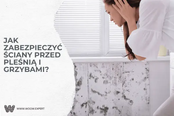 Jak zabezpieczyć ścianę przed grzybem? Skuteczne metody